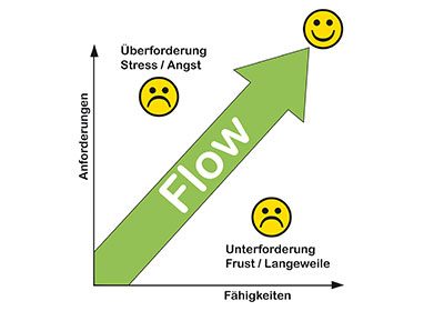 Flow - Online Kurs Mentaltraining für Reiter Flow - Online Kurs Mentaltraining für Reiter