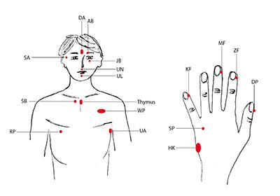 EFT für Reiter - Online Kurs Mentaltraining für Reiter EFT für Reiter - Online Kurs Mentaltraining für Reiter