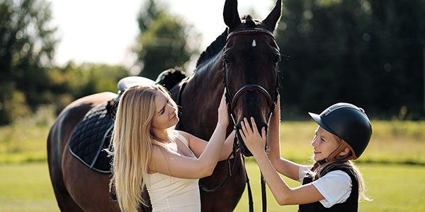 Online Kurs Reiten im Kopf® Online Kurs Reiten im Kopf®