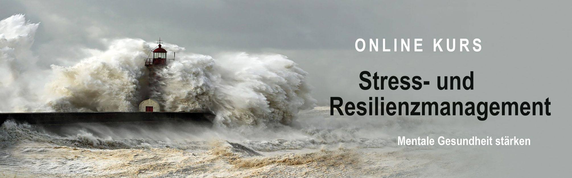 ONLINEKURS STRESSBEWÄLTIGUNG: RESILIENZ & STRESS REDUZIEREN, MENTALE GESUNDHEIT STÄRKEN, ENTSPANNTER WERDEN ONLINEKURS STRESSBEWÄLTIGUNG: RESILIENZ & STRESS REDUZIEREN, MENTALE GESUNDHEIT STÄRKEN, ENTSPANNTER WERDEN