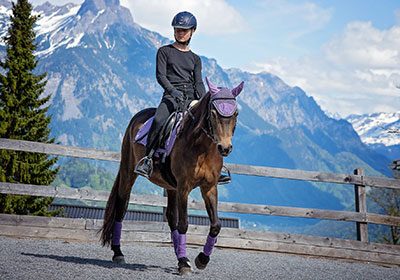 Angstlektionen - Online Kurs Mentaltraining für Reiter Angstlektionen - Online Kurs Mentaltraining für Reiter