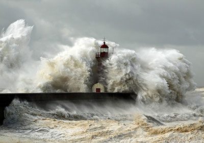 Resilienz entwickeln, Stress reduzieren, entspannter werden- Online Kurs Mentaltraining für Reiter Resilienz entwickeln, Stress reduzieren, entspannter werden- Online Kurs Mentaltraining für Reiter